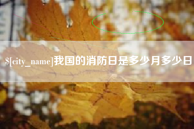 伊犁我国的消防日是多少月多少日