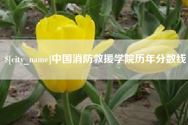 伊犁中国消防救援学院历年分数线