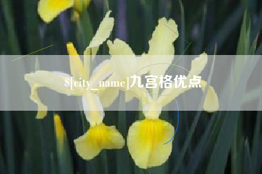 伊犁九宫格优点
