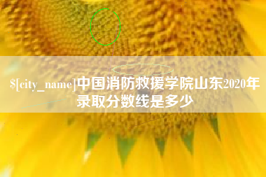 伊犁中国消防救援学院山东2020年录取分数线是多少