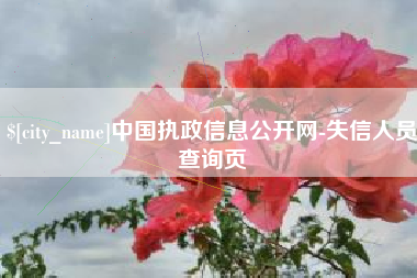 伊犁中国执政信息公开网-失信人员查询页