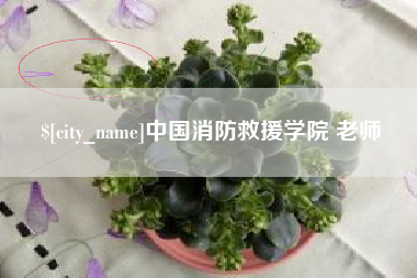 伊犁中国消防救援学院 老师