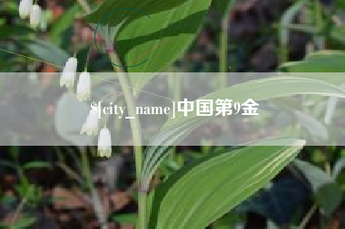 伊犁中国第9金
