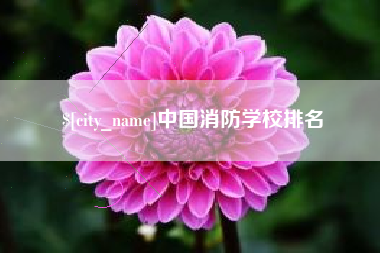 伊犁中国消防学校排名