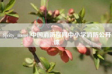 伊犁中国消防官网中小学消防公开课