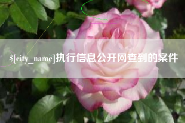伊犁执行信息公开网查到的案件