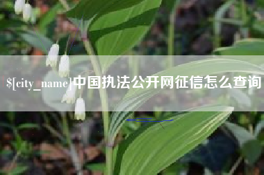 伊犁中国执法公开网征信怎么查询