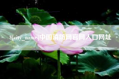 伊犁中国消防网官网入口网址