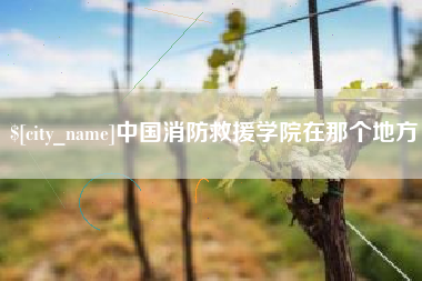 伊犁中国消防救援学院在那个地方