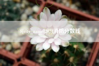 伊犁2021消防分数线