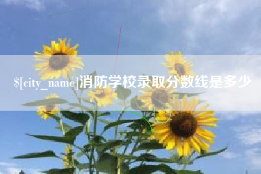 伊犁消防学校录取分数线是多少