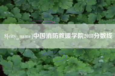 伊犁中国消防救援学院2018分数线