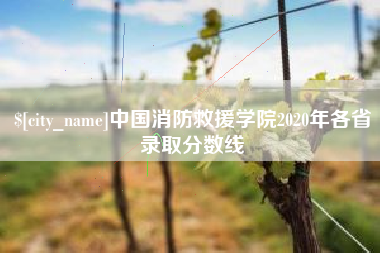 伊犁中国消防救援学院2020年各省录取分数线