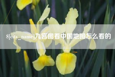 伊犁九宫图看中国地图怎么看的
