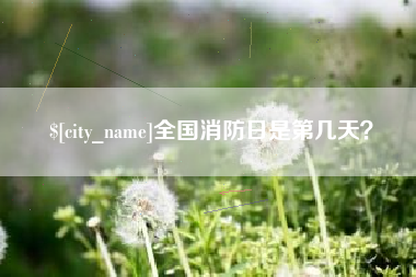 伊犁全国消防日是第几天？