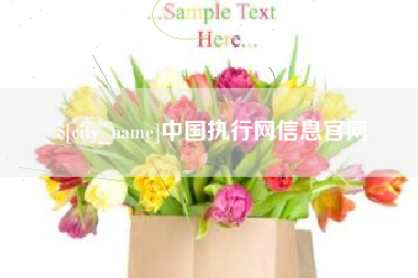 伊犁中国执行网信息官网