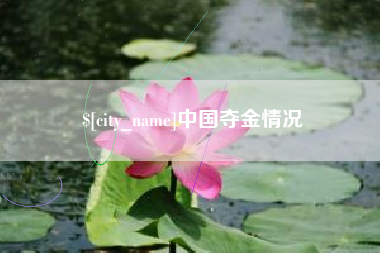 伊犁中国夺金情况