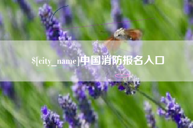 伊犁中国消防报名入口