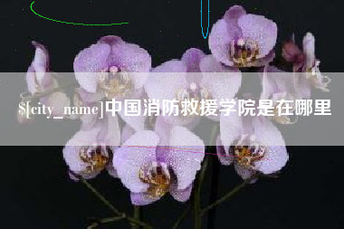伊犁中国消防救援学院是在哪里
