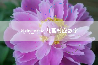 伊犁九宫对应数字