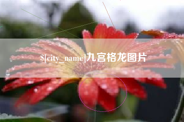 伊犁九宫格龙图片