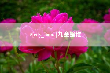 伊犁九金是谁