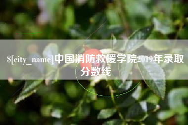 伊犁中国消防救援学院2019年录取分数线