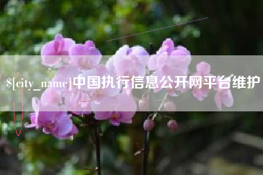 伊犁中国执行信息公开网平台维护