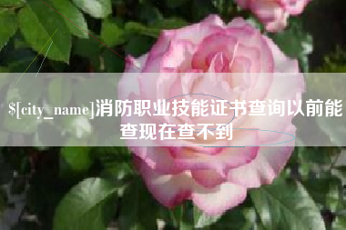 伊犁消防职业技能证书查询以前能查现在查不到