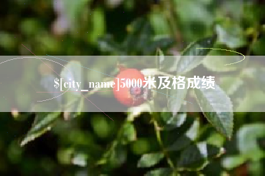 伊犁5000米及格成绩