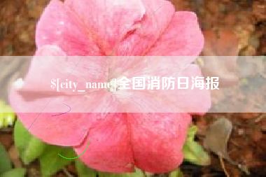 伊犁全国消防日海报