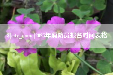 伊犁2025年消防员报名时间表格