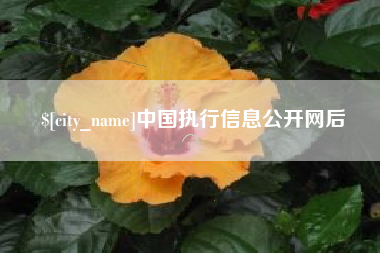 伊犁中国执行信息公开网后