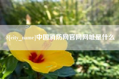 伊犁中国消防网官网网址是什么