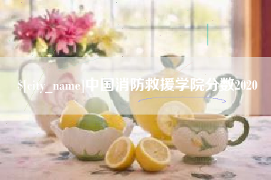 伊犁中国消防救援学院分数2020