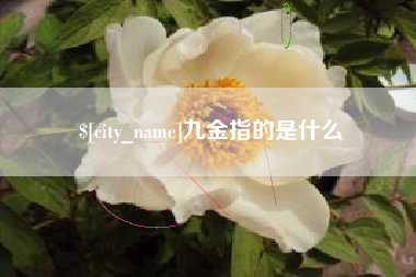 伊犁九金指的是什么