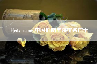 伊犁中国消防学院排名前十
