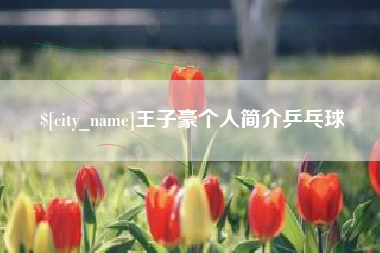 伊犁王子豪个人简介乒乓球
