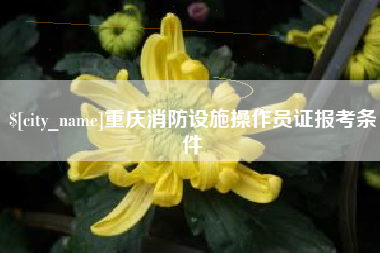 伊犁重庆消防设施操作员证报考条件