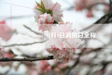 伊犁11月9日消防日全称