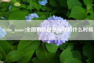 伊犁全国消防日是每年的什么时候