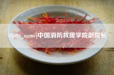 伊犁中国消防救援学院副院长