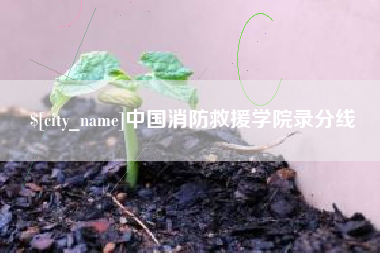 伊犁中国消防救援学院录分线