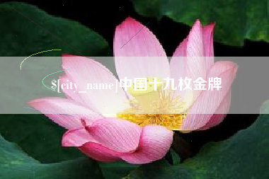 伊犁中国十九枚金牌