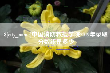 伊犁中国消防救援学院2019年录取分数线是多少