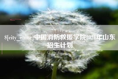伊犁中国消防救援学院2021年山东招生计划