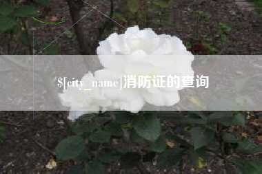 伊犁消防证的查询