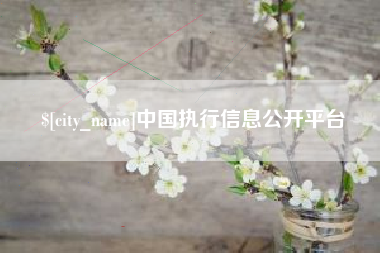 伊犁中国执行信息公开平台