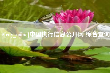 伊犁中国执行信息公开网 综合查询