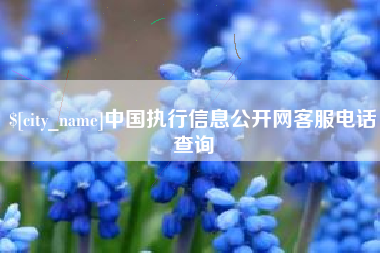 伊犁中国执行信息公开网客服电话查询